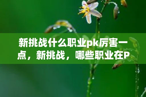 新挑战什么职业pk厉害一点，新挑战，哪些职业在PK中表现出色？