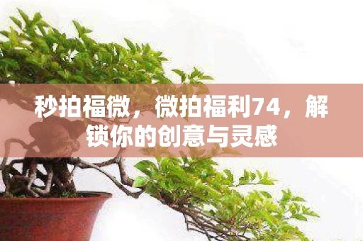 秒拍福微，微拍福利74，解锁你的创意与灵感