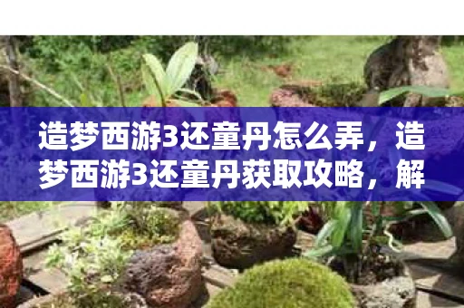 造梦西游3还童丹怎么弄，造梦西游3还童丹获取攻略，解锁隐藏福利，助力角色成长