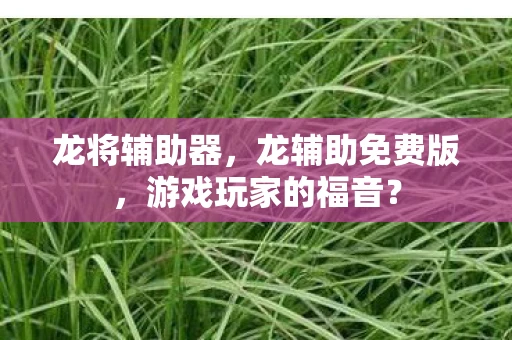 龙将辅助器，龙辅助免费版，游戏玩家的福音？