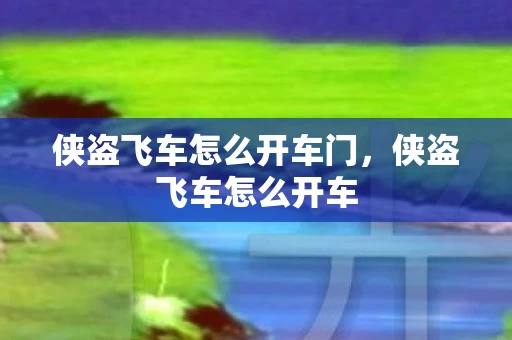 侠盗飞车怎么开车门，侠盗飞车怎么开车