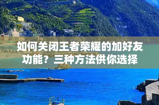 如何关闭王者荣耀的加好友功能图片