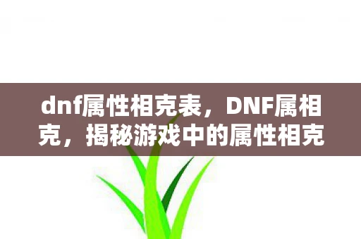 dnf属性相克表，DNF属相克，揭秘游戏中的属性相克机制