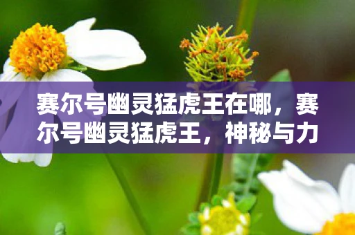 赛尔号幽灵猛虎王在哪，赛尔号幽灵猛虎王，神秘与力量的化身