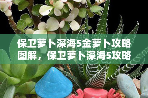 保卫萝卜深海5金萝卜攻略图解，保卫萝卜深海5攻略，金萝卜布阵图详解