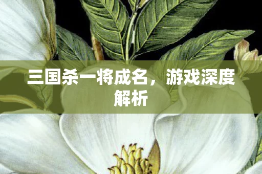 三国杀一将成名图片