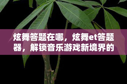 炫舞答题在哪，炫舞et答题器，解锁音乐游戏新境界的利器