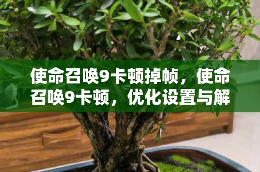 使命召唤9卡顿掉帧，使命召唤9卡顿，优化设置与解决方案