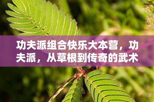 功夫派组合快乐大本营，功夫派，从草根到传奇的武术传奇