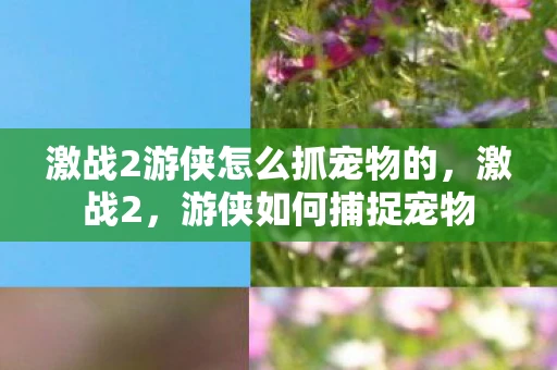 激战2游侠怎么抓宠物的,激战2,游侠如何捕捉宠物 激战2游侠怎么抓宠物的,激战2,游侠如何捕捉宠物