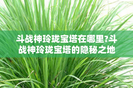 斗战神玲珑宝塔在哪里?斗战神玲珑宝塔的隐秘之地