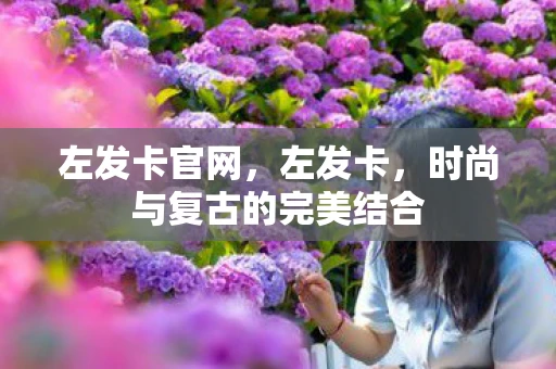 左发卡官网,左发卡,时尚与复古的完美结合 左发卡官网,左发卡,时尚与复古的完美结合