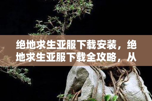 绝地求生亚服下载安装，绝地求生亚服下载全攻略，从新手到高手的必备指南