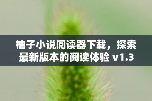 探索最新版本的阅读体验 v1图片