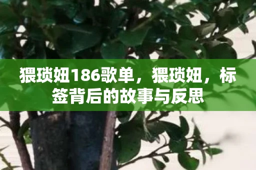 猥琐妞186歌单,猥琐妞,标签背后的故事与反思 猥琐妞186歌单,猥琐妞,标签背后的故事与反思