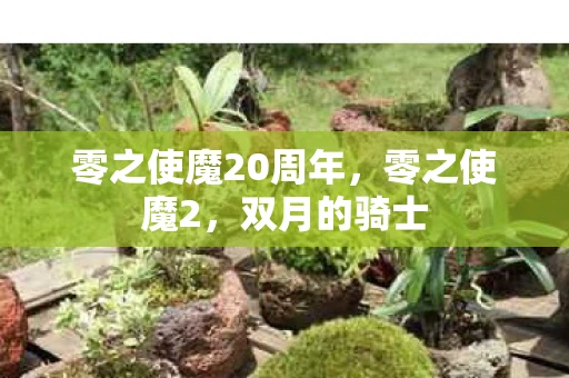 零之使魔20周年，零之使魔2，双月的骑士