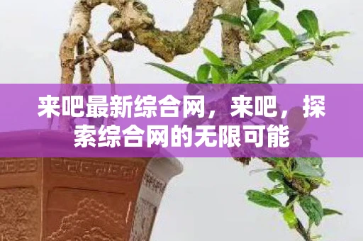 来吧最新综合网,来吧,探索综合网的无限可能 来吧最新综合网,来吧,探索综合网的无限可能