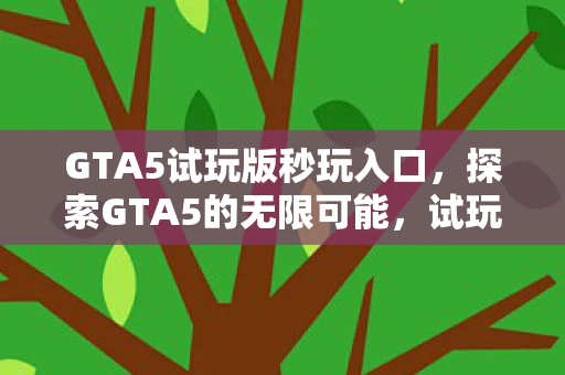 GTA5试玩版秒玩入口，探索GTA5的无限可能，试玩体验与游戏魅力解析