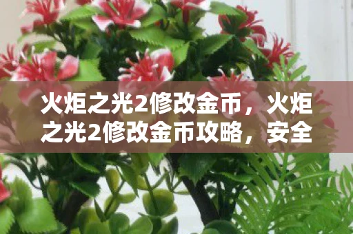 火炬之光2修改金币，火炬之光2修改金币攻略，安全高效获取无限金币