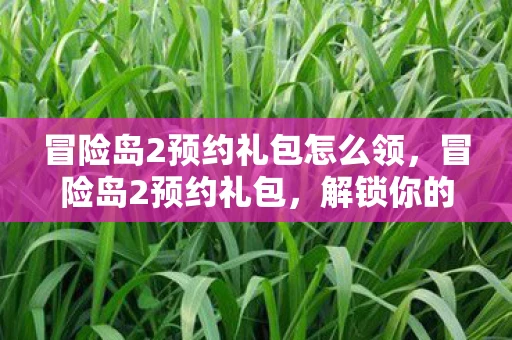 冒险岛2预约礼包怎么领,冒险岛2预约礼包,解锁你的冒险之旅 冒险岛2预约礼包怎么领,冒险岛2预约礼包,解锁你的冒险之旅