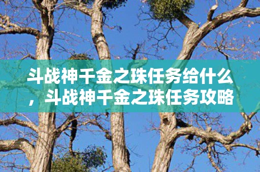 斗战神千金之珠任务给什么，斗战神千金之珠任务攻略
