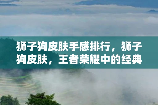 狮子狗皮肤手感排行，狮子狗皮肤，王者荣耀中的经典之作