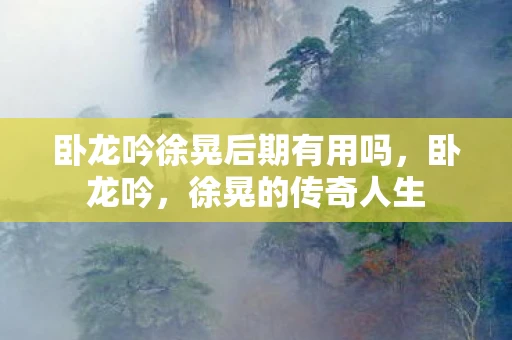 卧龙吟徐晃后期有用吗，卧龙吟，徐晃的传奇人生