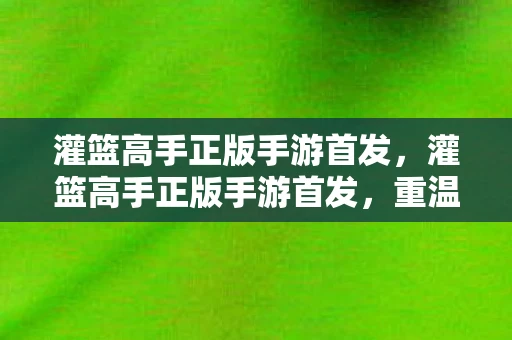灌篮高手正版手游首发，灌篮高手正版手游首发，重温经典，再现热血青春