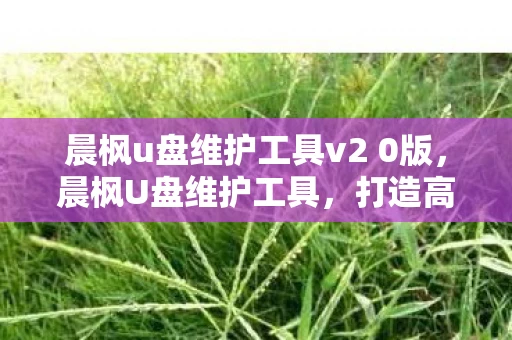 晨枫u盘维护工具v2 0版，晨枫U盘维护工具，打造高效便捷的电脑维护神器