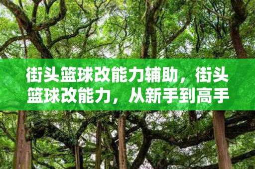 街头篮球改能力辅助,街头篮球改能力,从新手到高手的必经之路 街头篮球改能力辅助,街头篮球改能力,从新手到高手的必经之路