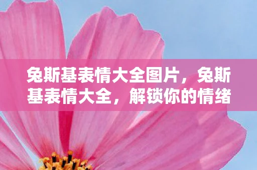 兔斯基表情大全图片,兔斯基表情大全,解锁你的情绪表达新方式 兔斯基表情大全图片,兔斯基表情大全,解锁你的情绪表达新方式