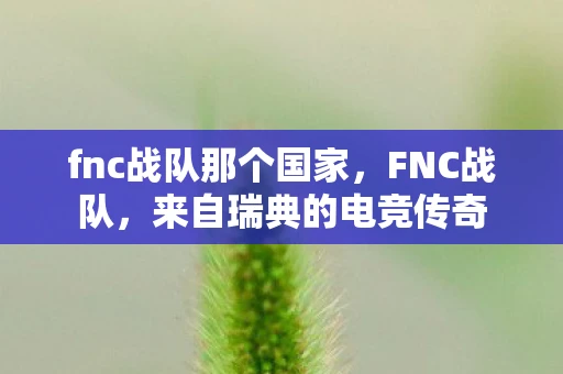fnc战队那个国家,FNC战队,来自瑞典的电竞传奇 fnc战队那个国家,FNC战队,来自瑞典的电竞传奇