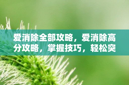 爱消除全部攻略，爱消除高分攻略，掌握技巧，轻松突破高分！