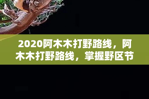 2020阿木木打野路线，阿木木打野路线，掌握野区节奏，成为游戏掌控者