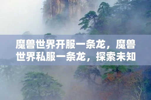 魔兽世界开服一条龙，魔兽世界私服一条龙，探索未知世界的奇幻之旅