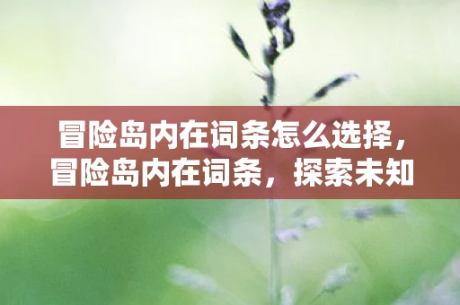 冒险岛内在词条怎么选择，冒险岛内在词条，探索未知，解锁隐藏力量