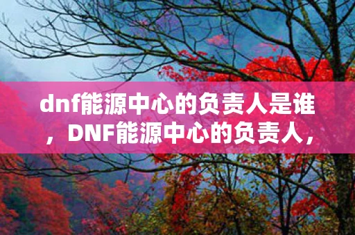 dnf能源中心的负责人是谁，DNF能源中心的负责人，探索能源管理的新篇章