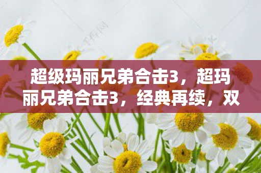 超级玛丽兄弟合击3，超玛丽兄弟合击3，经典再续，双剑合璧的奇幻冒险