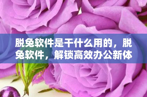 脱兔软件是干什么用的，脱兔软件，解锁高效办公新体验