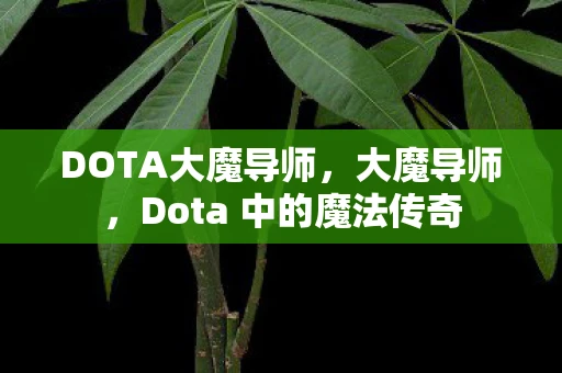 DOTA大魔导师，大魔导师，Dota 中的魔法传奇