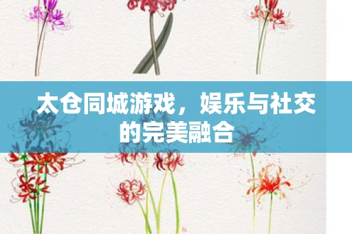 娱乐与社交的完美融合图片