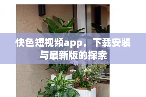 下载安装与最新版的探索图片