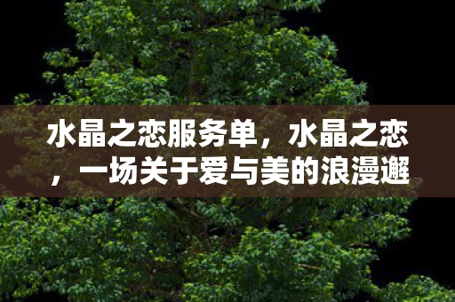 水晶之恋服务单，水晶之恋，一场关于爱与美的浪漫邂逅