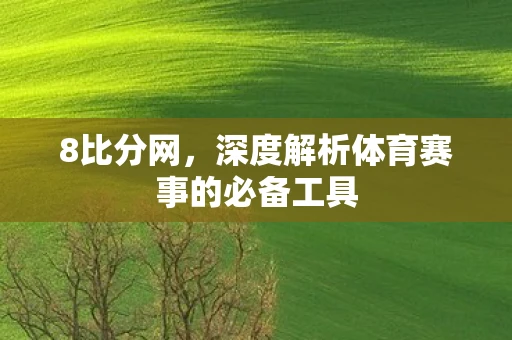 8比分网，深度解析体育赛事的必备工具