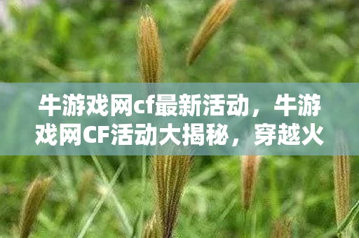 牛游戏网cf最新活动，牛游戏网CF活动大揭秘，穿越火线的狂欢盛宴