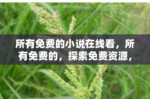 所有免费的小说在线看，所有免费的，探索免费资源，提升生活品质