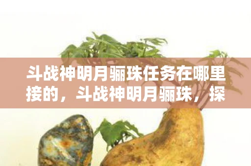 斗战神明月骊珠任务在哪里接的，斗战神明月骊珠，探寻古老传说中的神秘宝物