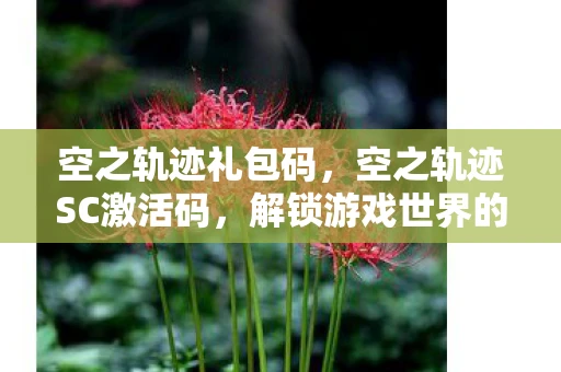 空之轨迹礼包码，空之轨迹SC激活码，解锁游戏世界的神秘钥匙