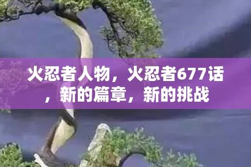 火忍者人物，火忍者677话，新的篇章，新的挑战