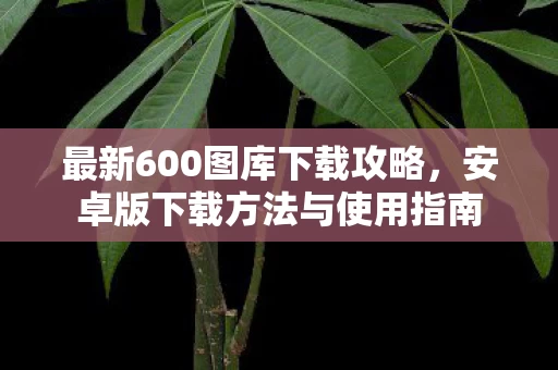 安卓版下载方法与使用指南图片